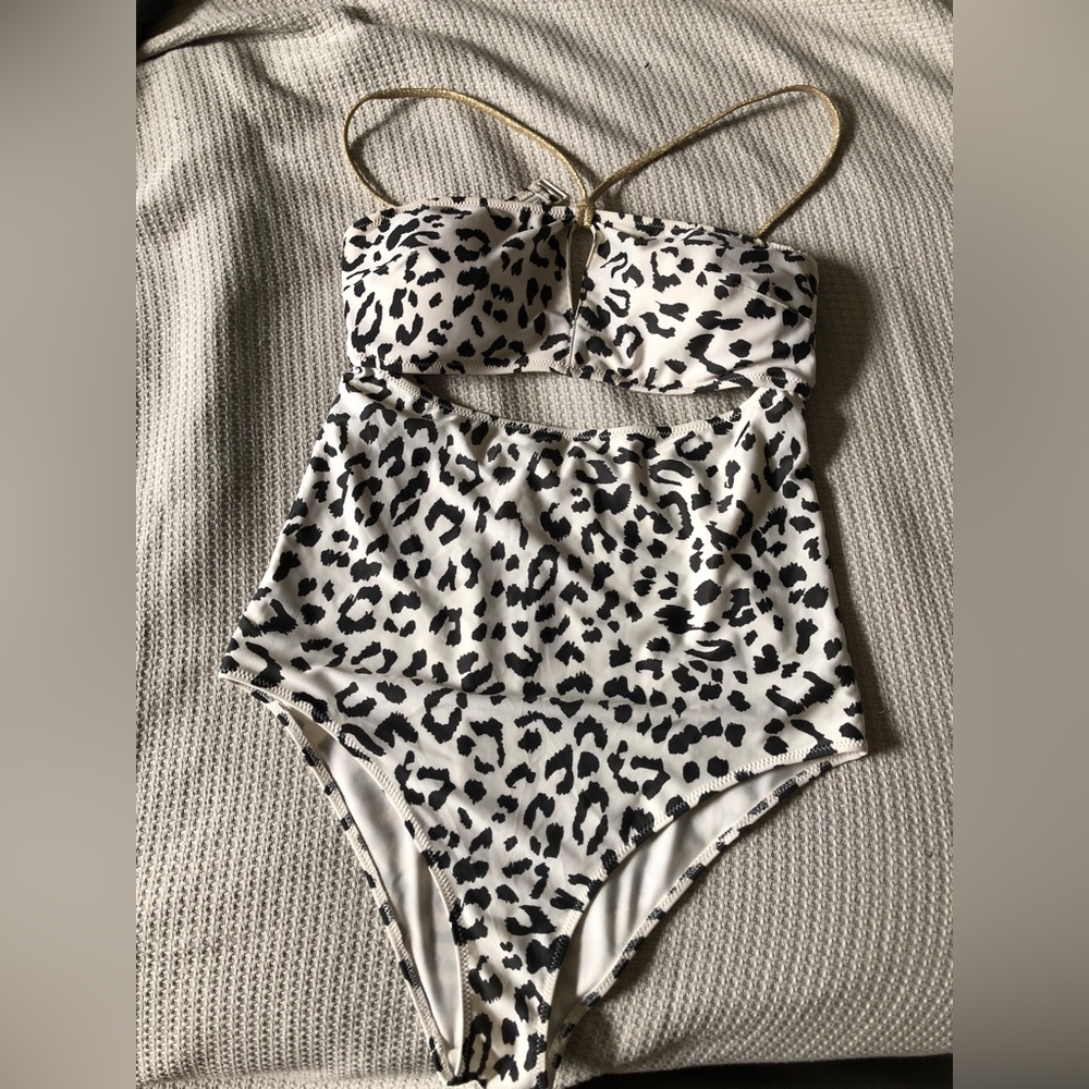 Aerie Leopard Print Cheeky One Piece Swimsuit (Long/L)